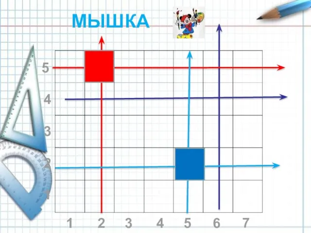 МЫШКА 1 2 3 4 5 6 7 1 2 3 4 5