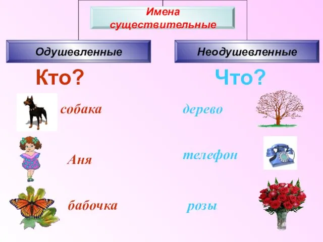 Кто? Что? собака Аня бабочка розы телефон дерево