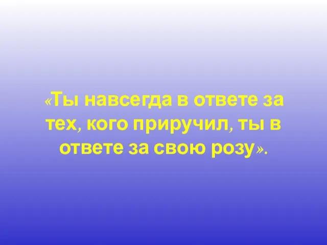 «Ты навсегда в ответе за тех, кого приручил, ты в ответе за свою розу».