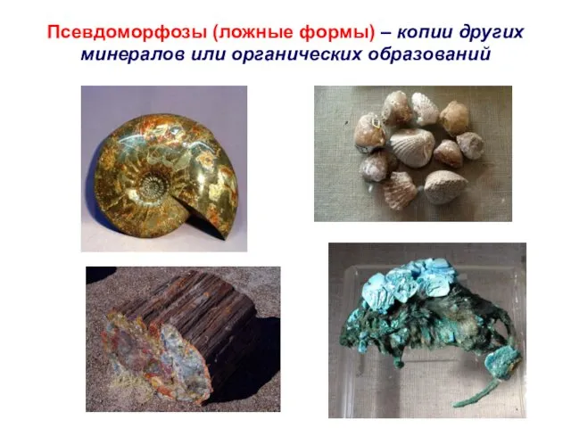 Псевдоморфозы (ложные формы) – копии других минералов или органических образований