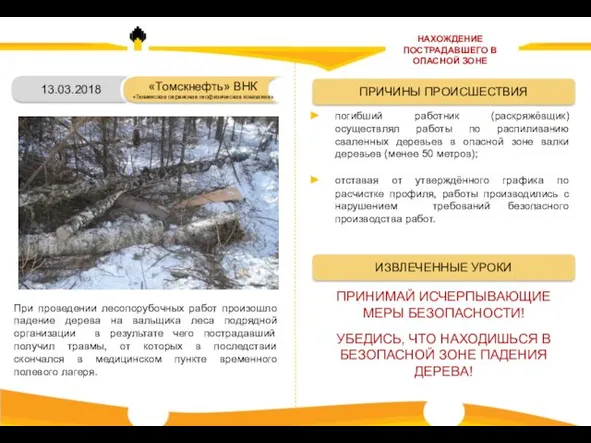 13.03.2018 При проведении лесопорубочных работ произошло падение дерева на вальщика