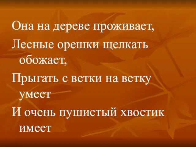 Она на дереве проживает, Лесные орешки щелкать обожает, Прыгать с