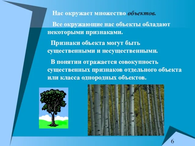 Нас окружает множество объектов. Все окружающие нас объекты обладают некоторыми