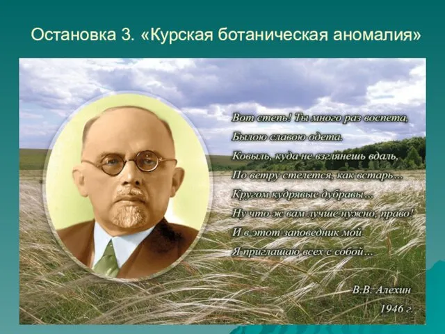 Остановка 3. «Курская ботаническая аномалия»