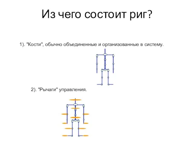 Из чего состоит риг? 1). "Кости", обычно объединенные и организованные в систему. 2). "Рычаги" управления.