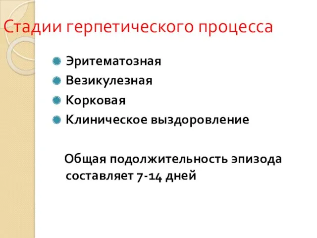 Стадии герпетического процесса Эритематозная Везикулезная Корковая Клиническое выздоровление Общая подолжительность эпизода составляет 7-14 дней