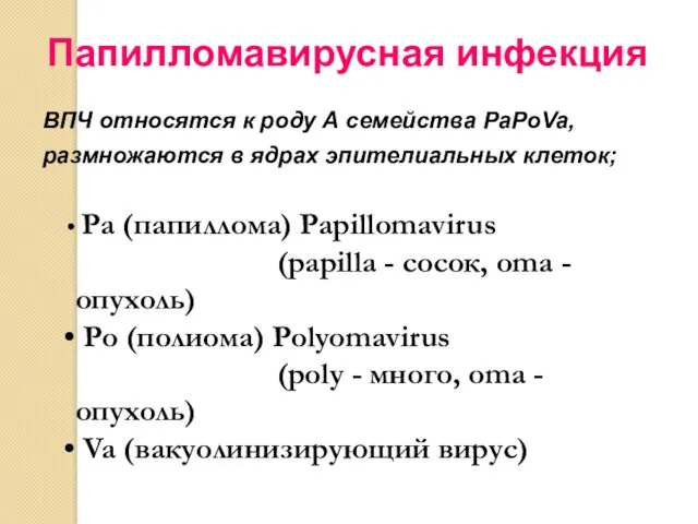 Папилломавирусная инфекция ВПЧ относятся к роду А семейства PaPoVa, размножаются в ядрах эпителиальных