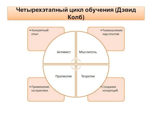 Четырехэтапный цикл обучения (Дэвид Колб)