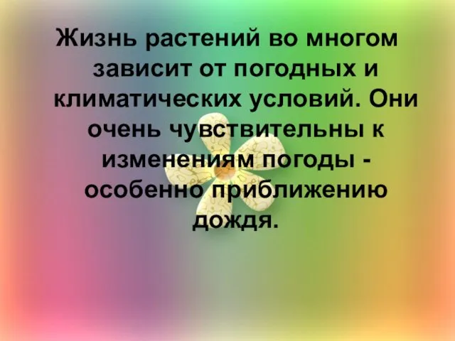 Жизнь растений во многом зависит от погодных и климатических условий.