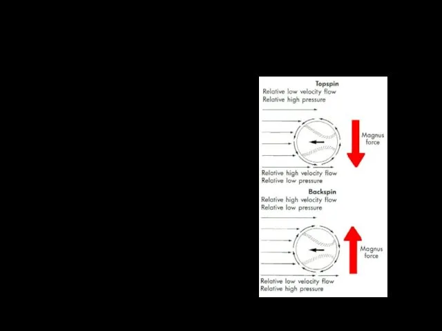 "Magnus effect" in sport On the other side of an