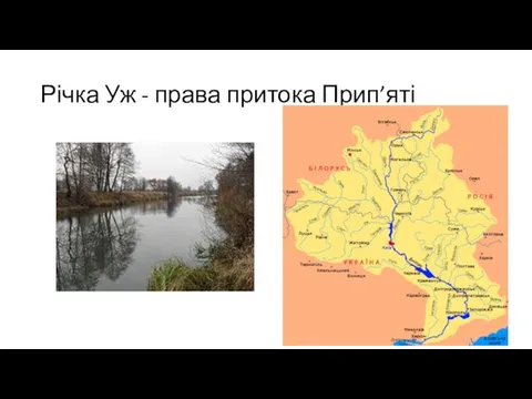 Річка Уж - права притока Прип’яті