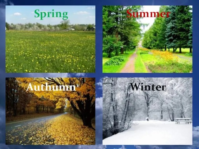 Authumn Spring Summer Winter