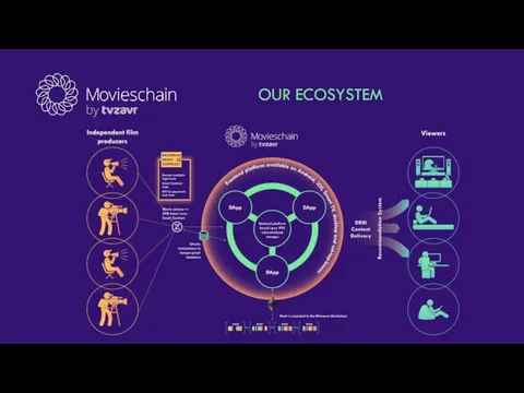 OUR ECOSYSTEM