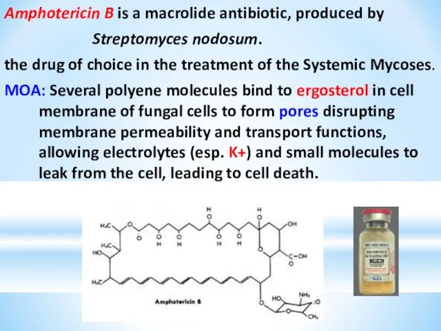 Amphotericin B is a macrolide antibiotic, produced by Streptomyces nodosum.