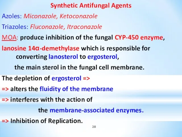 Synthetic Antifungal Agents Azoles: Miconazole, Ketoconazole Triazoles: Fluconazole, Itraconazole MOA: