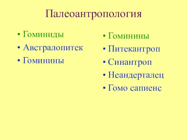 Палеоантропология Гоминиды Австралопитек Гоминины Гоминины Питекантроп Синантроп Неандерталец Гомо сапиенс