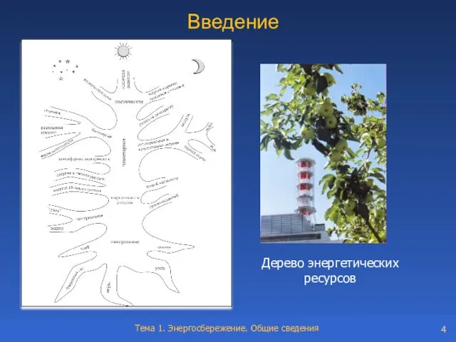 Введение Дерево энергетических ресурсов