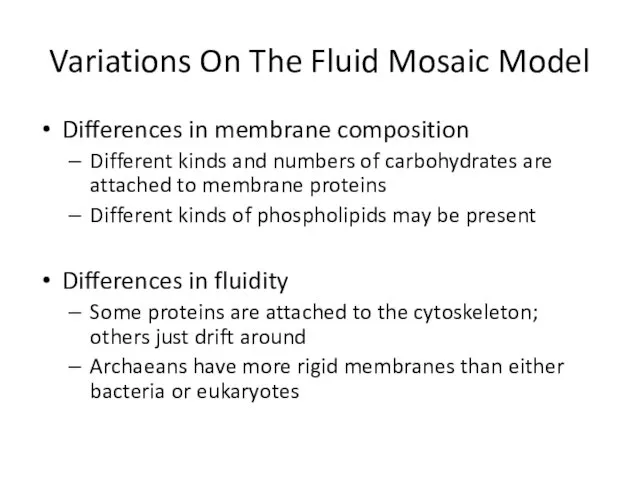 Variations On The Fluid Mosaic Model Differences in membrane composition