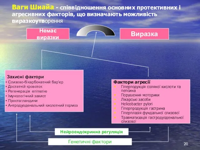 Ваги Шиайа - співвідношення основних протективних і агресивних факторів, що