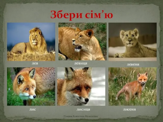 Збери сім’ю Павлюк Валентина Миколаївна лев левиця левеня лис лисиця лисеня