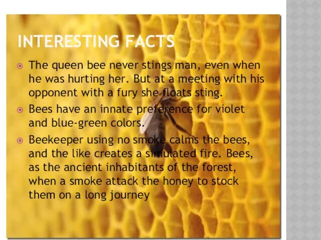 INTERESTING FACTS The queen bee never stings man, even when he was hurting