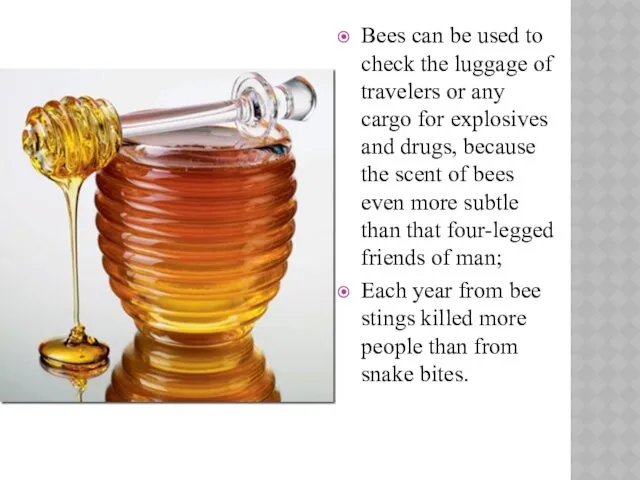 Bees can be used to check the luggage of travelers or any cargo