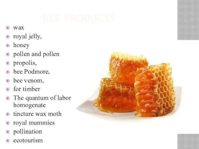 BEE PRODUCTS wax royal jelly, honey pollen and pollen propolis, bee Podmore, bee