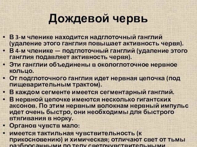 Дождевой червь В 3-м членике находится надглоточный ганглий (удаление этого