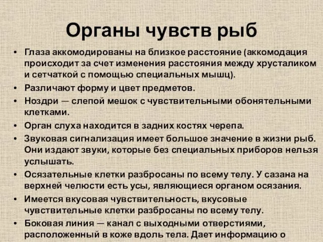 Органы чувств рыб Глаза аккомодированы на близкое расстояние (аккомодация происходит