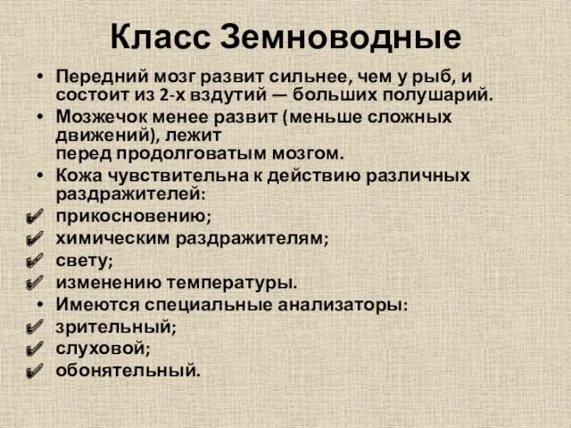 Класс Земноводные Передний мозг развит сильнее, чем у рыб, и