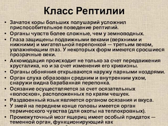 Класс Рептилии Зачаток коры больших полушарий усложнил приспособительное поведение рептилий.