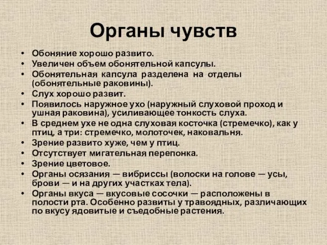 Органы чувств Обоняние хорошо развито. Увеличен объем обонятельной капсулы. Обонятельная