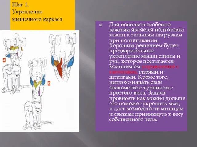 Шаг 1. Укрепление мышечного каркаса Для новичков особенно важным является