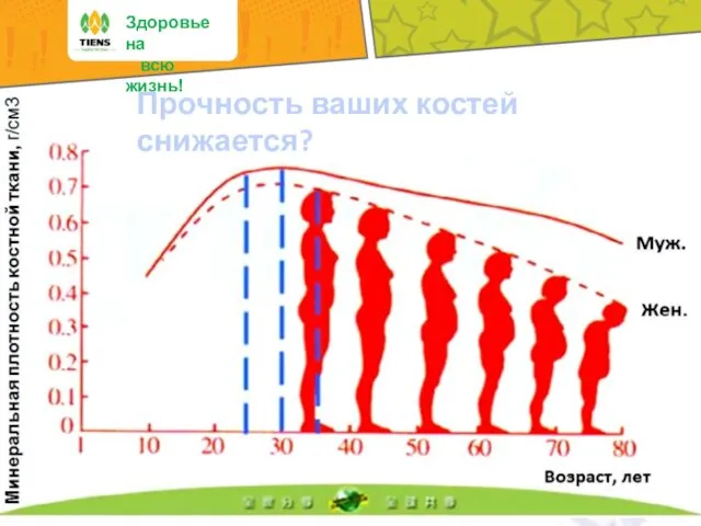 Здоровье на всю жизнь! Прочность ваших костей снижается?