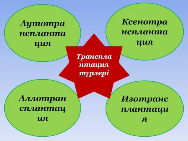 Ксенотрансплантация Аллотрансплантация Изотранс плантация Аутотрансплантация Трансплантация түрлері