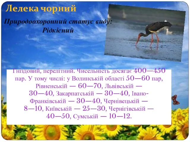 Лелека чорний Гніздовий, перелітний. Чисельність досягає 400—450 пар. У тому