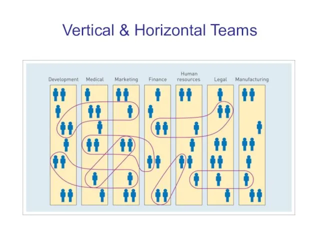 Vertical & Horizontal Teams