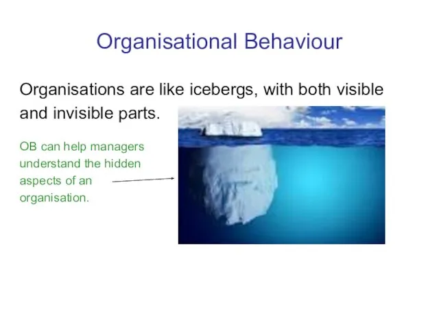 Organisational Behaviour Organisations are like icebergs, with both visible and