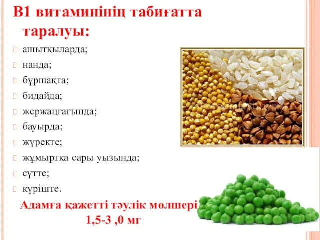 В1 витаминінің табиғатта таралуы: ашытқыларда; нанда; бұршақта; бидайда; жержаңғағында; бауырда;