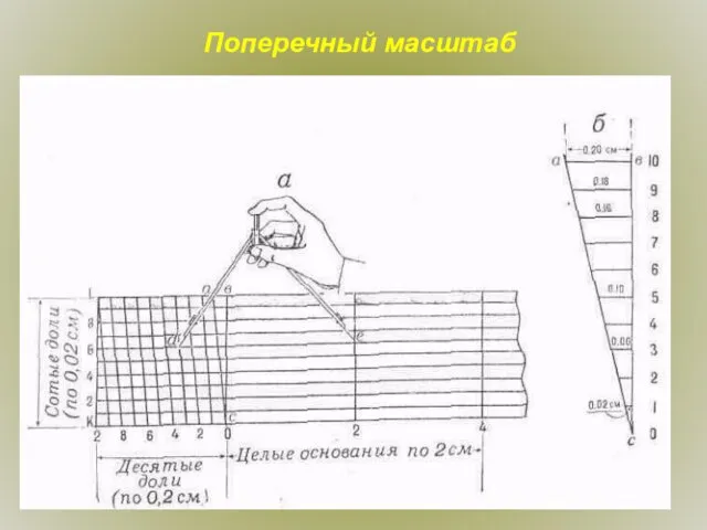 Поперечный масштаб