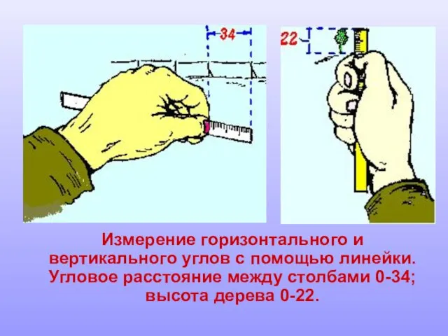 Измерение горизонтального и вертикального углов с помощью линейки. Угловое расстояние между столбами 0-34; высота дерева 0-22.