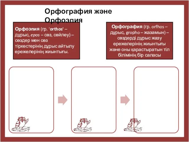 Орфоэпия (гр. 'orthos' – дұрыс, epos – сөз, сөйлеу) –