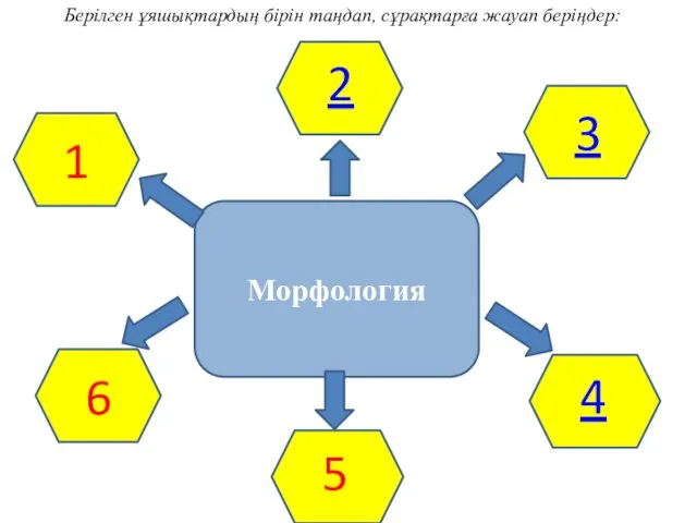 Морфология 6 1 2 3 4 5 Берілген ұяшықтардың бірін таңдап, сұрақтарға жауап беріңдер: