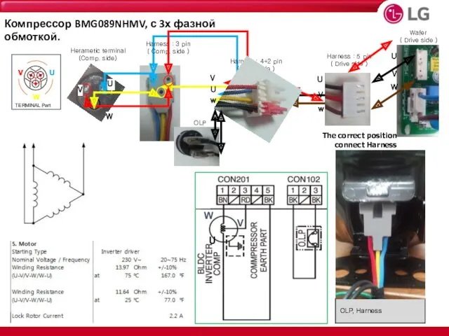 OLP, Harness The correct position connect Harness OLP Компрессор BMG089NHMV, с 3х фазной обмоткой.