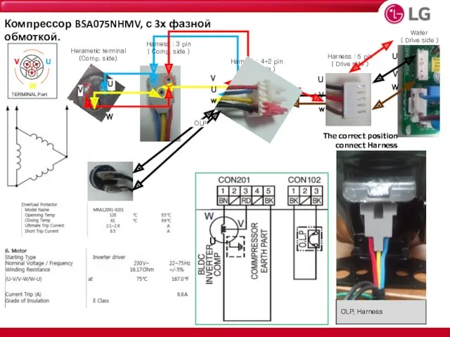 OLP, Harness The correct position connect Harness OLP Компрессор BSA075NHMV, с 3х фазной обмоткой.