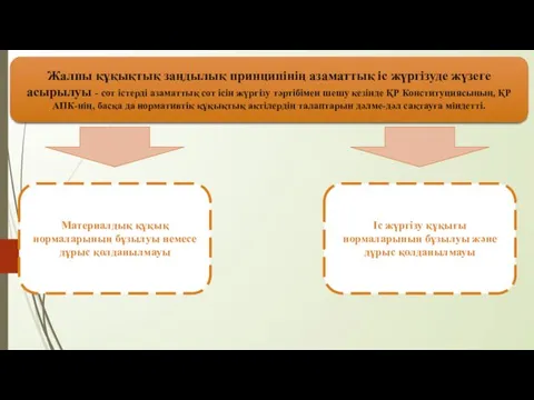 Жалпы құқықтық заңдылық принципінің азаматтық іс жүргізуде жүзеге асырылуы -