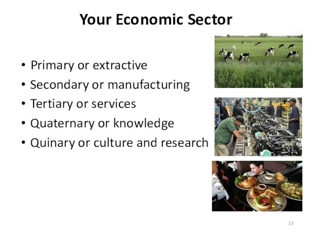 Your Economic Sector Primary or extractive Secondary or manufacturing Tertiary