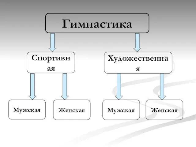 Спортивная Мужская Женская Мужская Женская Гимнастика Художественная