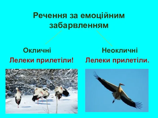 Речення за емоційним забарвленням Окличні Неокличні Лелеки прилетіли! Лелеки прилетіли.