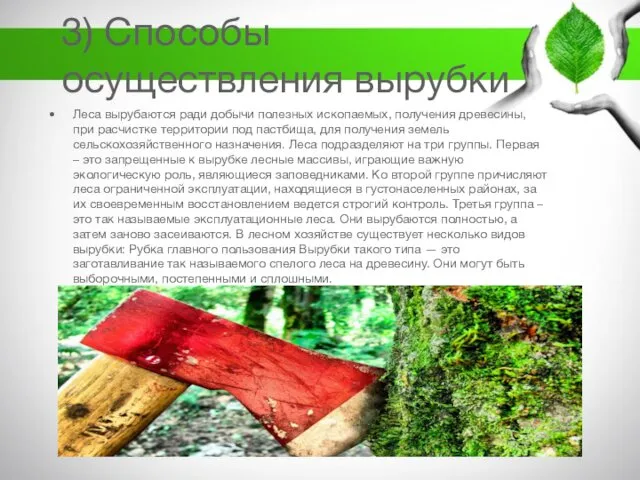 3) Способы осуществления вырубки Леса вырубаются ради добычи полезных ископаемых, получения древесины, при